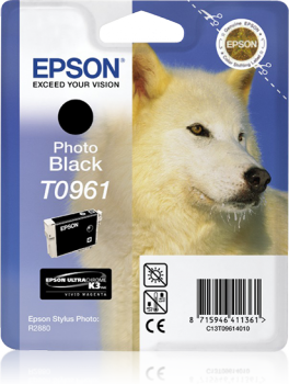 Epson T0961 fotomusta mustekasetti