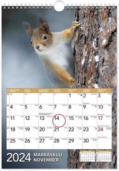 Seinäkalenteri Suomen luonto 2024 marraskuu